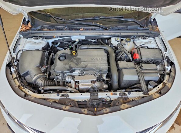 1G1ZC5ST0RF244138 2024 CHEVROLET MALIBU White 
