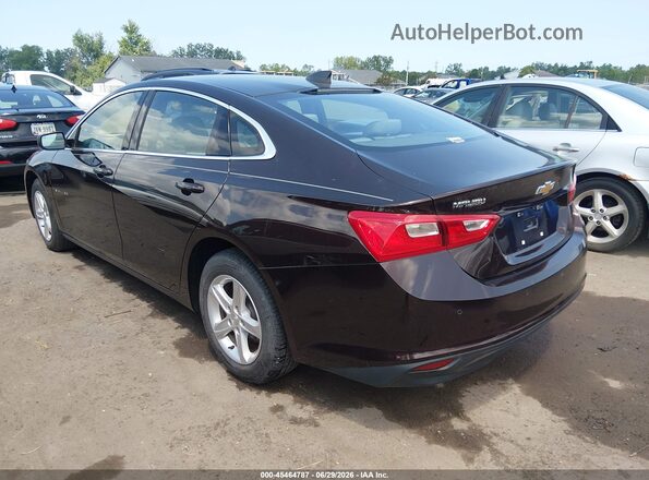 1G1ZC5ST4LF106531 2020 CHEVROLET MALIBU Purple Հետևի ձախ