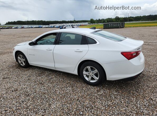 1G1ZC5ST6PF125782 2023 CHEVROLET MALIBU White უკანა მარცხენა