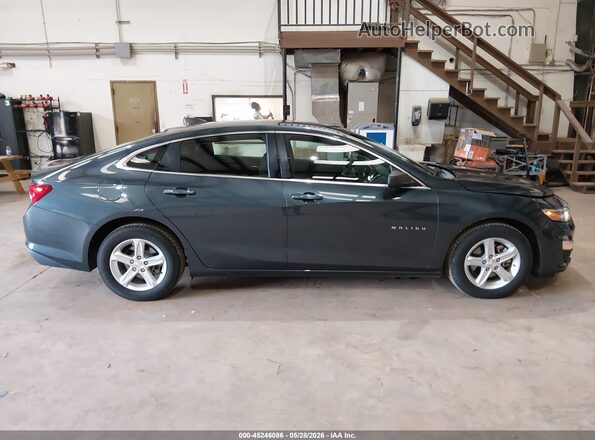 1G1ZC5ST7LF032666 2020 CHEVROLET MALIBU Gray Սալոնի հետևի տեսք