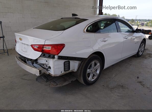 1G1ZC5ST7LF099624 2020 CHEVROLET MALIBU White უკანა მარჯვენა