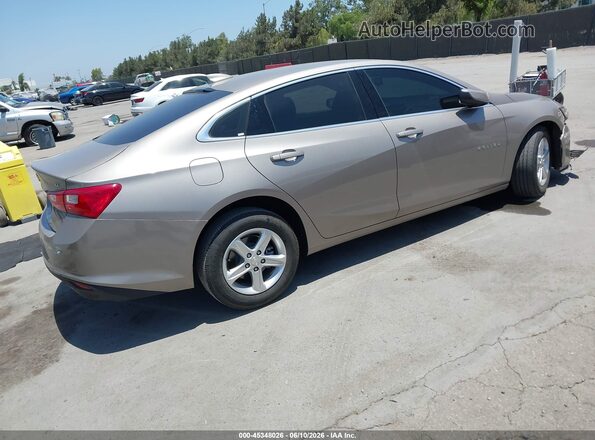1G1ZD5ST0RF226493 2024 CHEVROLET MALIBU Gray უკანა მარჯვენა