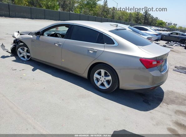 1G1ZD5ST0RF226493 2024 CHEVROLET MALIBU Gray უკანა მარცხენა