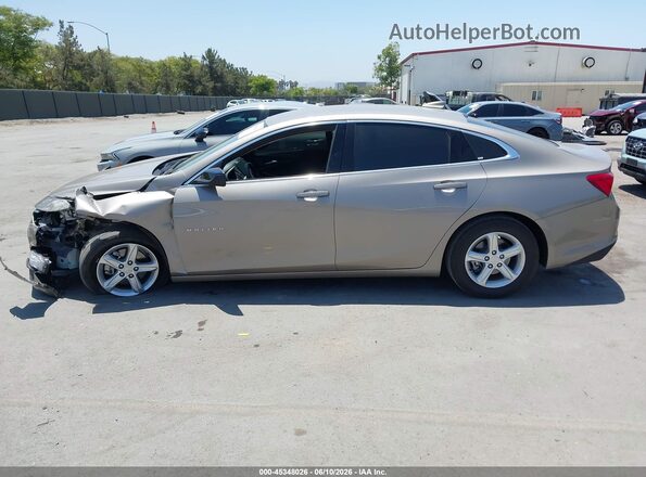 1G1ZD5ST0RF226493 2024 CHEVROLET MALIBU Gray სალონის 360-გრადუსიანი ხედი