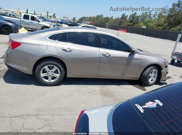 1G1ZD5ST0RF226493 2024 CHEVROLET MALIBU Gray უკანა სალონის ხედი