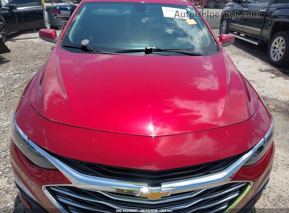 1G1ZD5ST1KF121144 2019 CHEVROLET MALIBU Красный Вид спереди