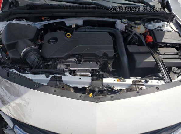 1G1ZD5ST1RF202154 2024 CHEVROLET MALIBU White Սալոնի հետևի տեսք