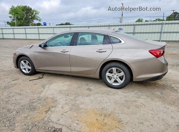1G1ZD5ST2RF122698 2024 CHEVROLET MALIBU Brown Задня ліва чверть
