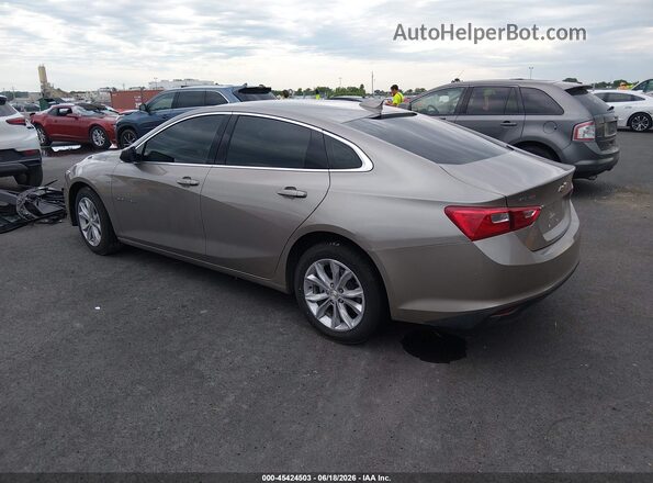 1G1ZD5ST2RF205970 2024 CHEVROLET MALIBU Gold უკანა მარცხენა