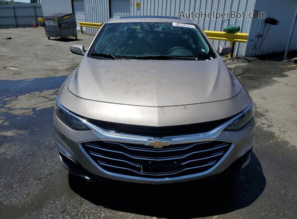 1G1ZD5ST2RF241996 2024 CHEVROLET MALIBU Tan 