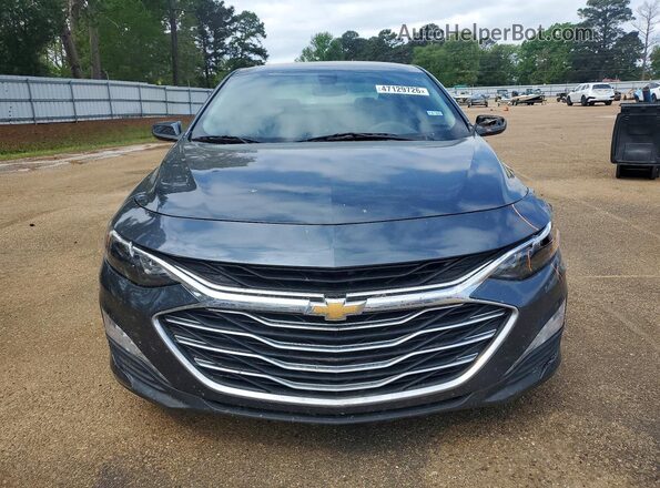 1G1ZD5ST3KF157627 2019 CHEVROLET MALIBU Gray 