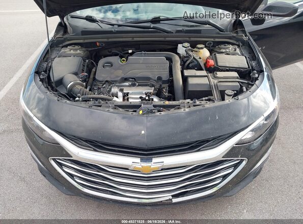 1G1ZD5ST3RF167892 2024 CHEVROLET MALIBU Black Vista trasera
