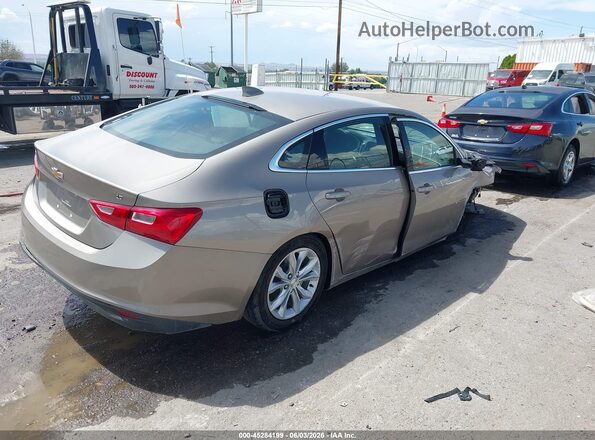 1G1ZD5ST4PF178865 2023 CHEVROLET MALIBU Gold უკანა მარჯვენა