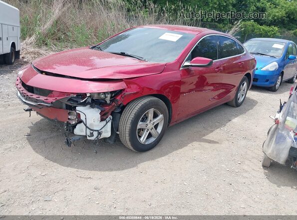 1G1ZD5ST4RF118328 2024 CHEVROLET MALIBU Red Vista tres cuartos delantera izquierda