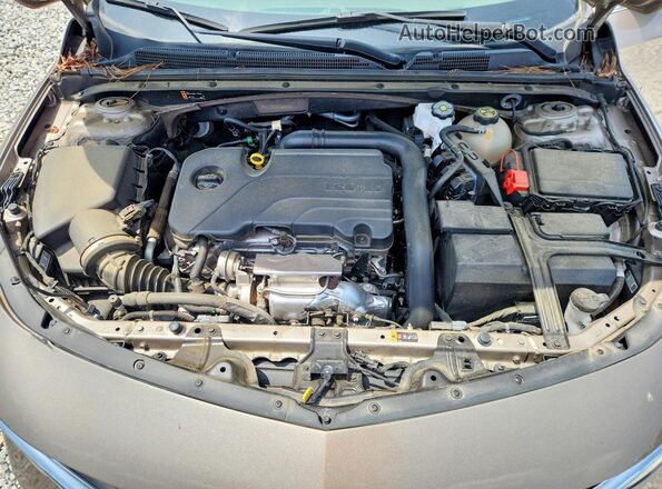 1G1ZD5ST5PF238796 2023 CHEVROLET MALIBU Бежевый Вид задней части салона