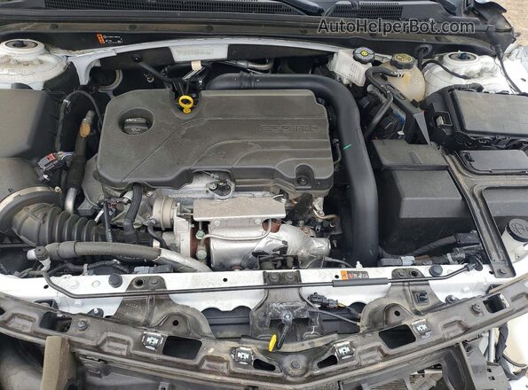 1G1ZD5ST5RF164198 2024 CHEVROLET MALIBU White Սալոնի հետևի տեսք
