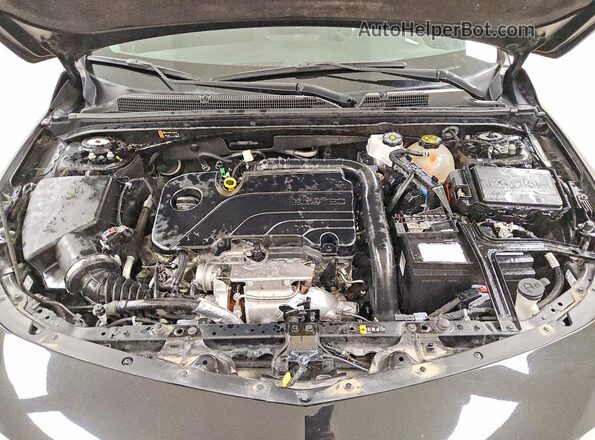 1G1ZD5ST6PF192556 2023 CHEVROLET MALIBU Black Սալոնի հետևի տեսք