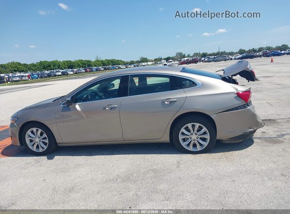 1G1ZD5ST6SF143429 2025 CHEVROLET MALIBU Gold Панорамний вид салону 360°