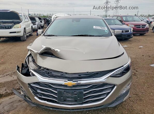 1G1ZD5ST7PF237181 2023 CHEVROLET MALIBU Желто-коричневый Вид спереди