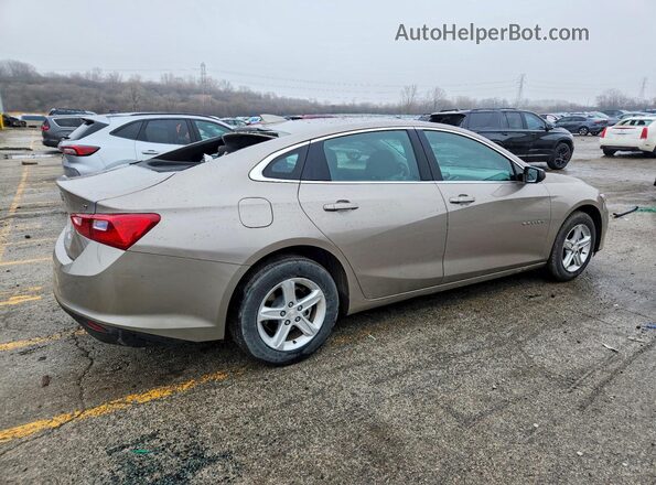 1G1ZD5ST7RF144292 2024 CHEVROLET MALIBU Tan Rear right