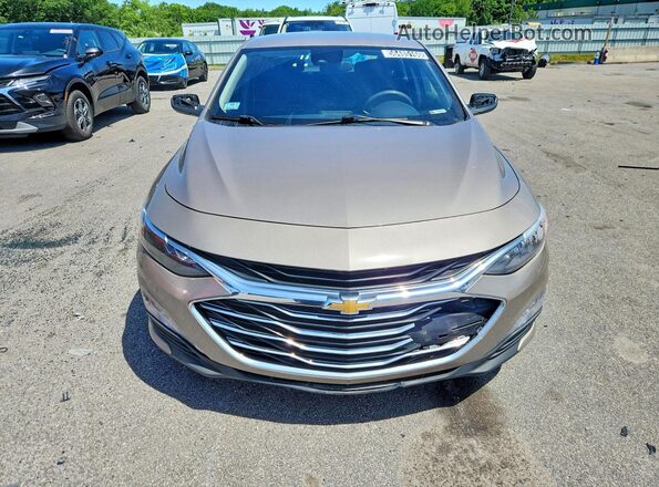 1G1ZD5ST9PF173810 2023 CHEVROLET MALIBU Tan 