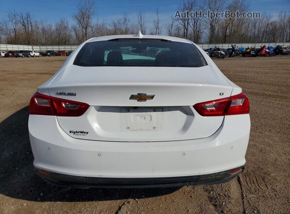 1G1ZD5ST9PF205378 2023 CHEVROLET MALIBU White Widok z tyłu