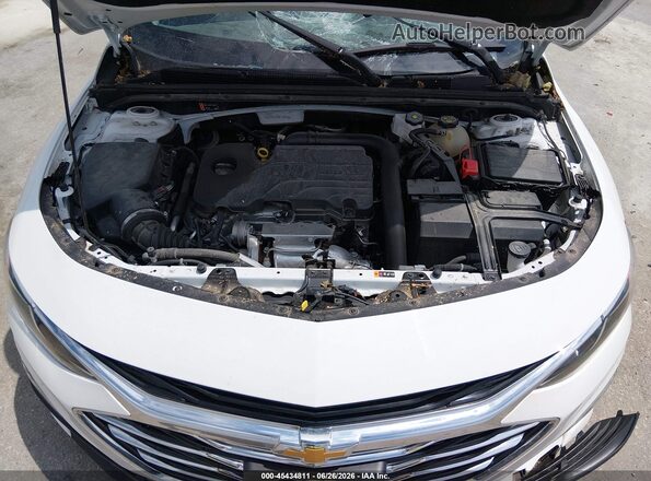 1G1ZD5ST9RF107339 2024 CHEVROLET MALIBU White Rear view