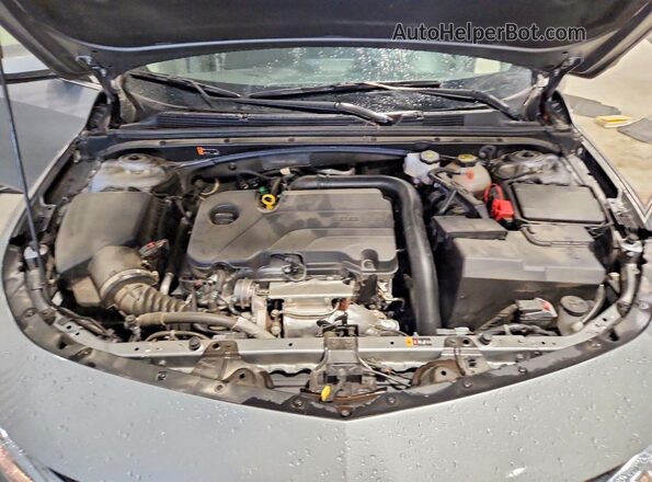 1G1ZD5ST9RF159490 2024 CHEVROLET MALIBU Gray უკანა სალონის ხედი