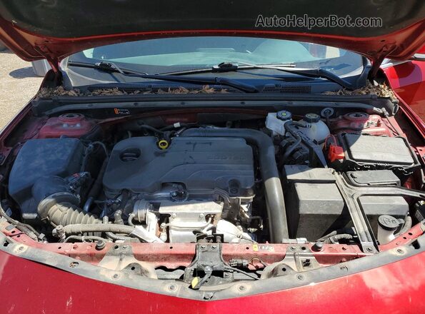 1G1ZD5STXRF113330 2024 CHEVROLET MALIBU Красный Вид задней части салона