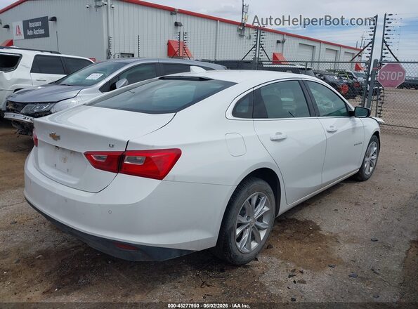 1G1ZD5STXRF216277 2024 CHEVROLET MALIBU White უკანა მარჯვენა