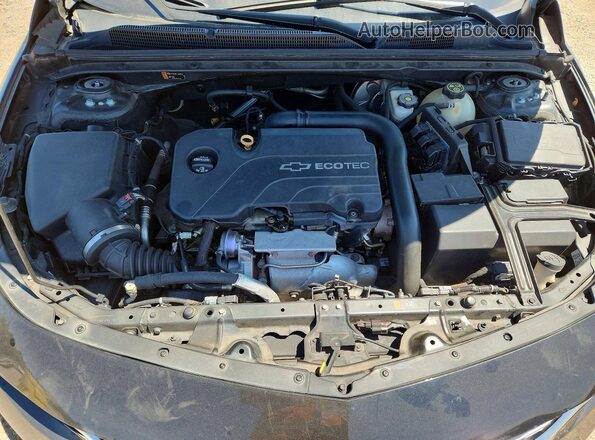 1G1ZE5ST5HF166271 2017 CHEVROLET MALIBU Gray უკანა სალონის ხედი