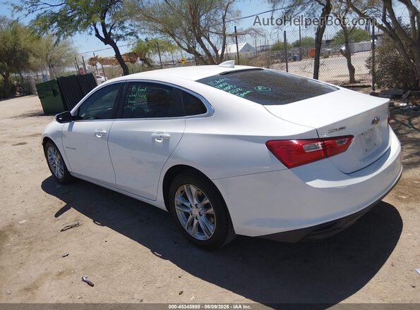 1G1ZE5ST7HF251306 2017 CHEVROLET MALIBU White Задня ліва чверть