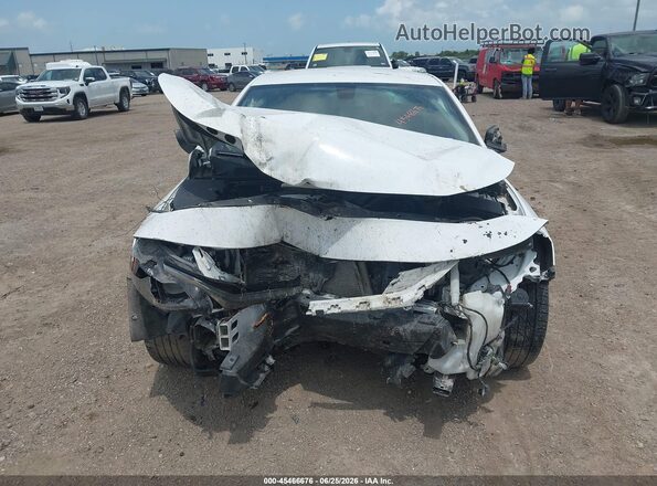 1G1ZG5ST4MF040987 2021 CHEVROLET MALIBU Белый Вид задней части салона