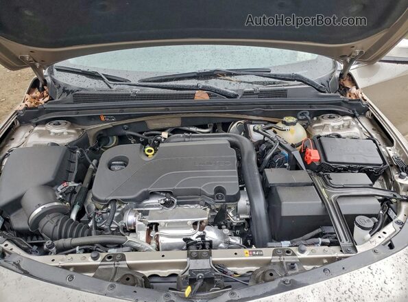 1G1ZG5ST4NF184427 2022 CHEVROLET MALIBU Желто-коричневый Вид задней части салона