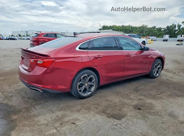1G1ZG5ST6KF185705 2019 CHEVROLET MALIBU Red Rear right