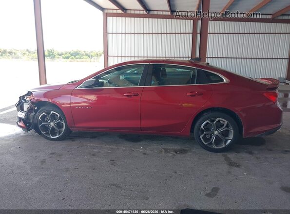 1G1ZG5ST6KF194355 2019 CHEVROLET MALIBU Red უკანა სალონის ხედი