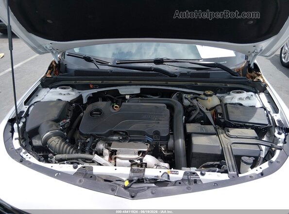 1G1ZG5ST9KF210595 2019 CHEVROLET MALIBU White Widok z tyłu