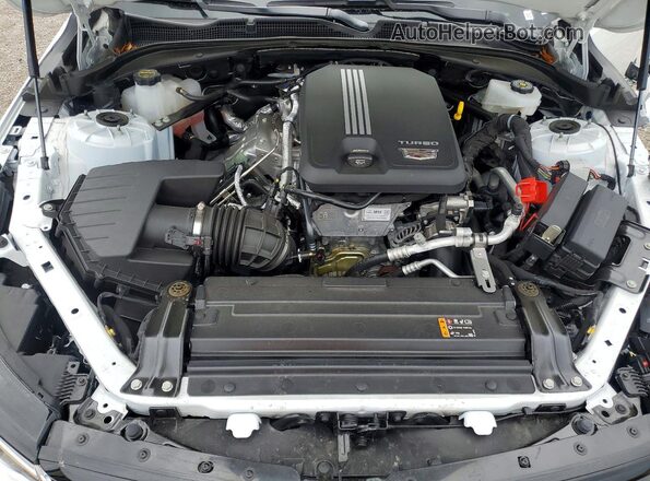 1G6DA5RK2T0110975 2026 CADILLAC CT4 White Вид задньої частини салону