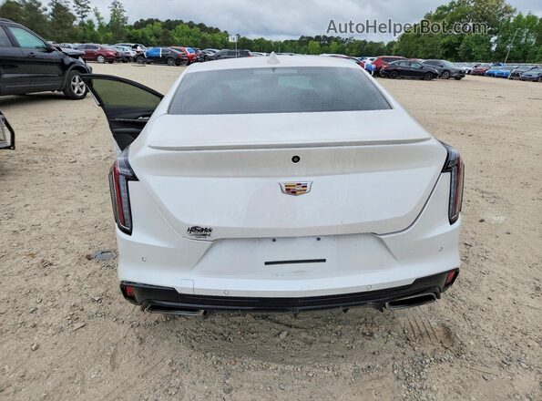 1G6DC5RK6P0141386 2023 CADILLAC CT4 White Вид ззаду