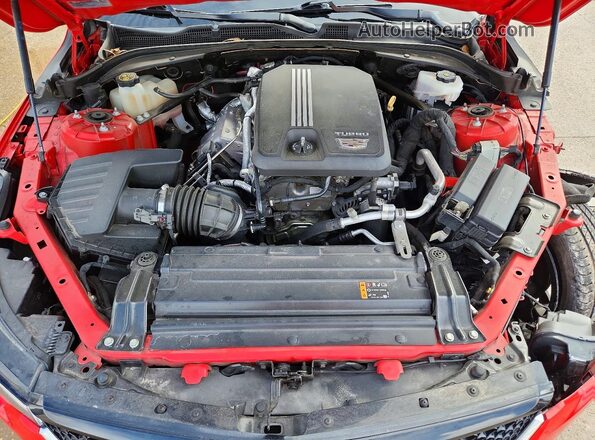 1G6DG5RK8M0107630 2021 CADILLAC CT4 Red Вид задньої частини салону