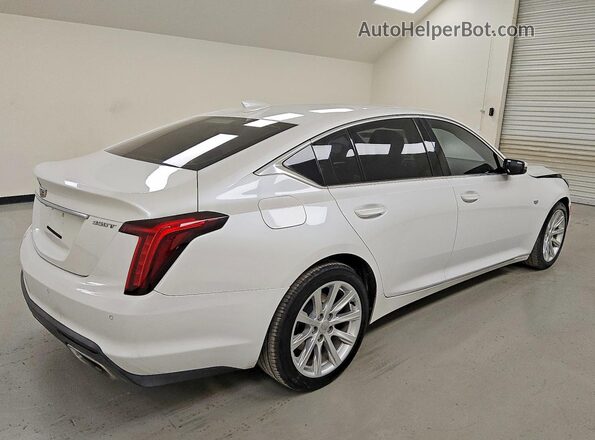 1G6DM5RK1P0115243 2023 CADILLAC CT5 White Задня права чверть
