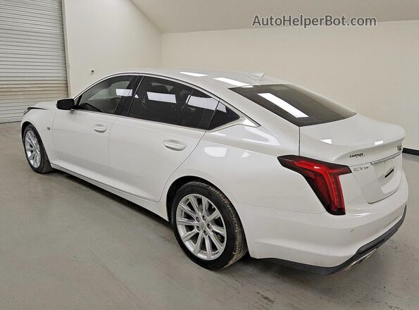 1G6DM5RK1P0115243 2023 CADILLAC CT5 White Задня ліва чверть