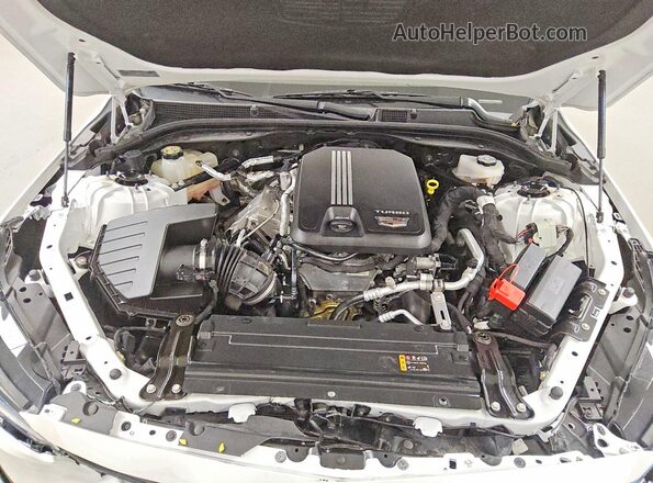 1G6DM5RK1P0115243 2023 CADILLAC CT5 White Вид задньої частини салону