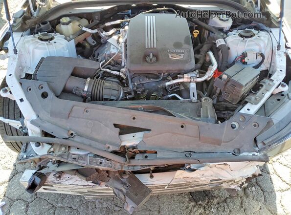 1G6DM5RK7M0116005 2021 CADILLAC CT5 Белый Вид задней части салона