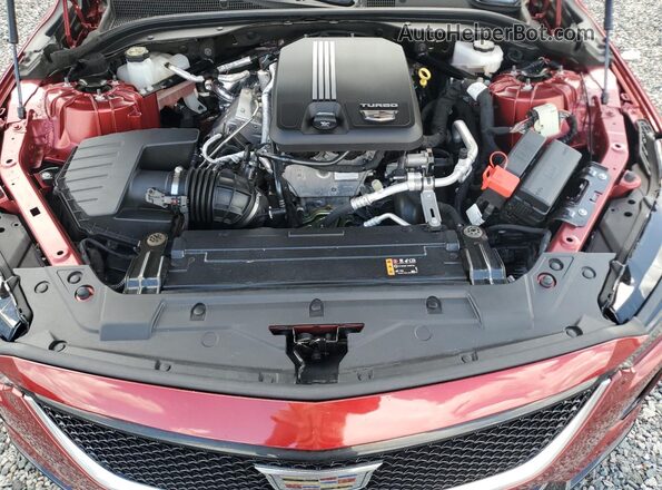 1G6DP5RK9P0126661 2023 CADILLAC CT5 Burgundy 