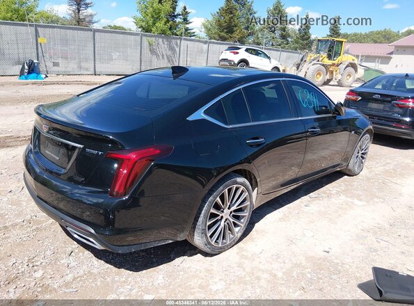 1G6DT5RW3L0143965 2020 CADILLAC CT5 Черный Задняя правая четверть
