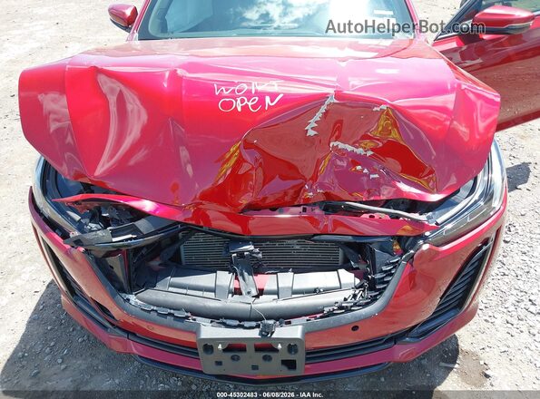 1G6DT5RW5M0125498 2021 CADILLAC CT5 Red უკანა ხედი