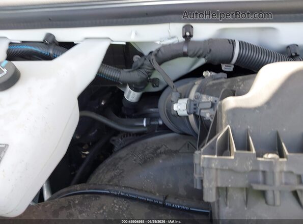 1GAZGPFP1S1255018 2025 CHEVROLET EXPRESS White Rear view