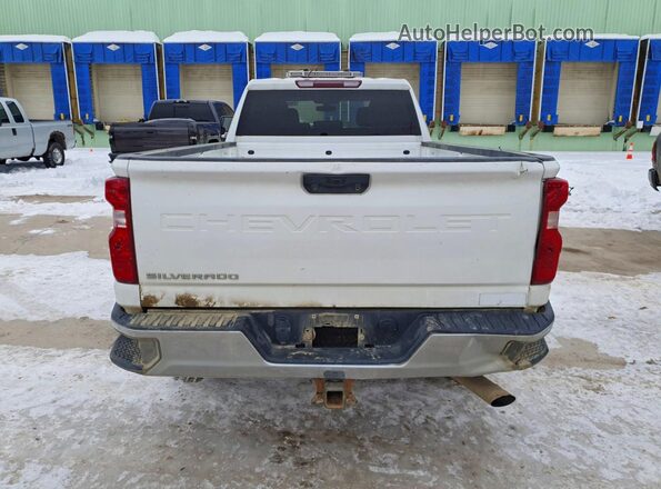 1GC1YLE73PF236203 2023 CHEVROLET SILVERADO Белый Вид сзади