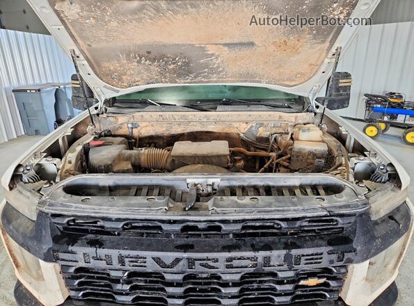 1GC1YLE79PF175942 2023 CHEVROLET SILVERADO White უკანა სალონის ხედი
